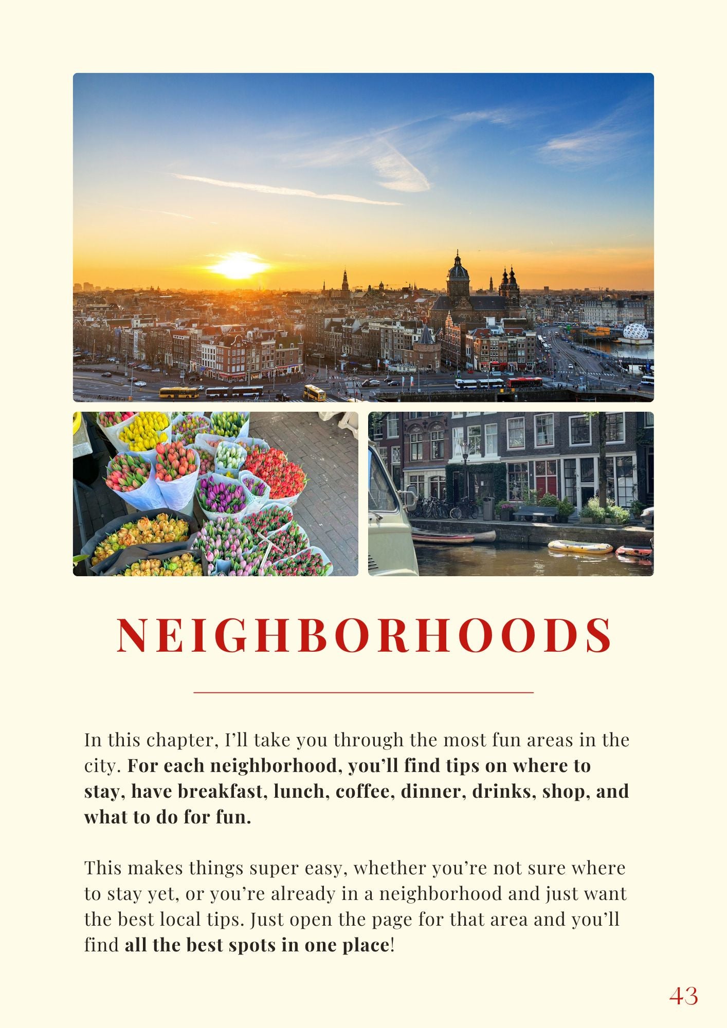 The Ultimate Local’s Guide to Amsterdam: The City’s Best Hotspots, Neighborhoods, Hidden Gems &  Must-Try Tips